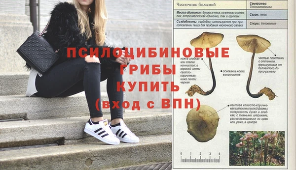 МДМА Новодвинск
