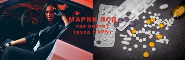 дживик Новозыбков