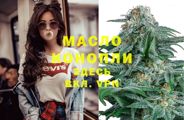 дживик Новозыбков