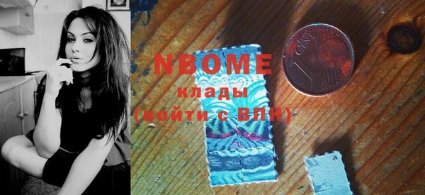 дживик Новозыбков