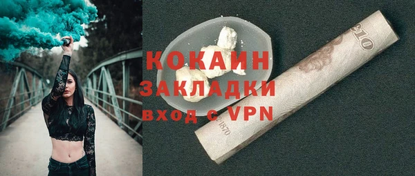 дживик Новозыбков