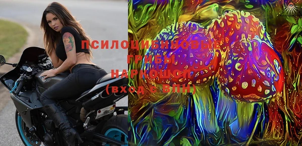 дживик Новозыбков