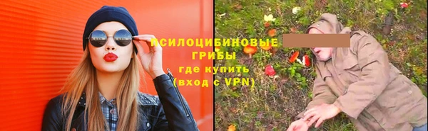дживик Новозыбков