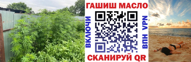 Дистиллят ТГК концентрат  Купить где  Свирск 