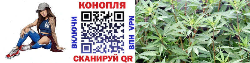 Купить  Свирск  Канабис Amnesia 